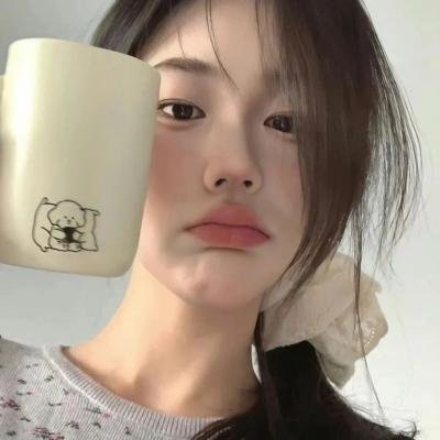 完美伴侣