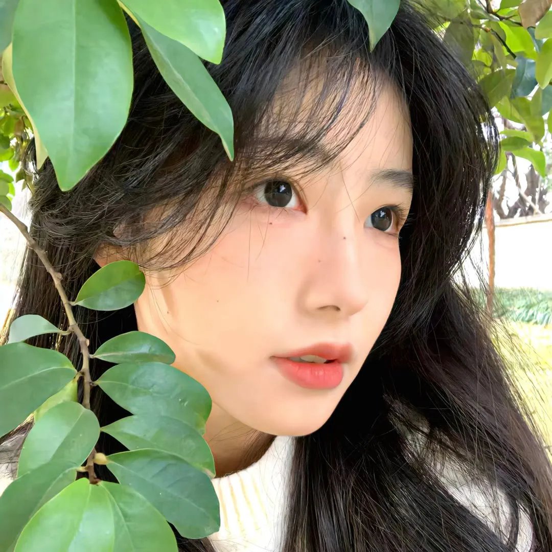 布查